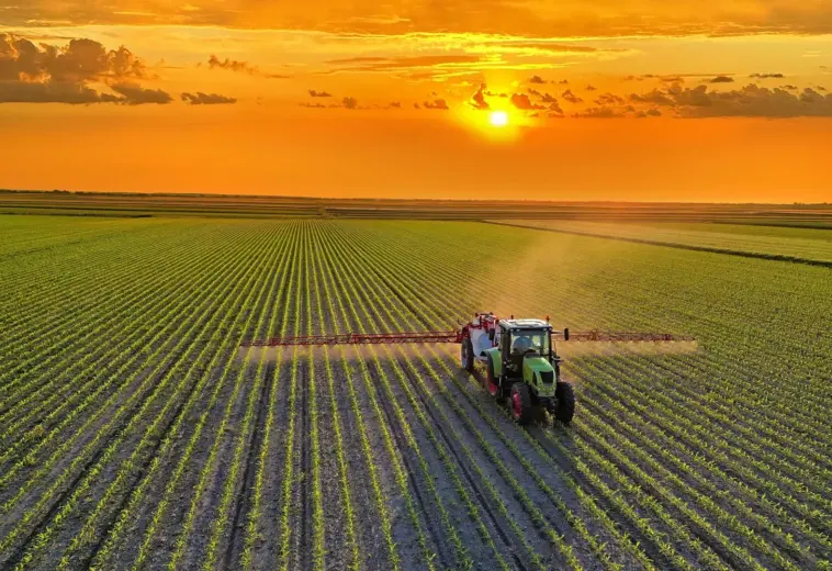 SCIENCE DAILY : Une alimentation mondiale plus saine pourrait réduire les émissions agricoles de 85 %.