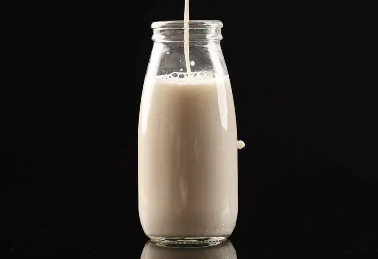 THE ECONOMIST : Les alternatives au lait perdent de leur élan.