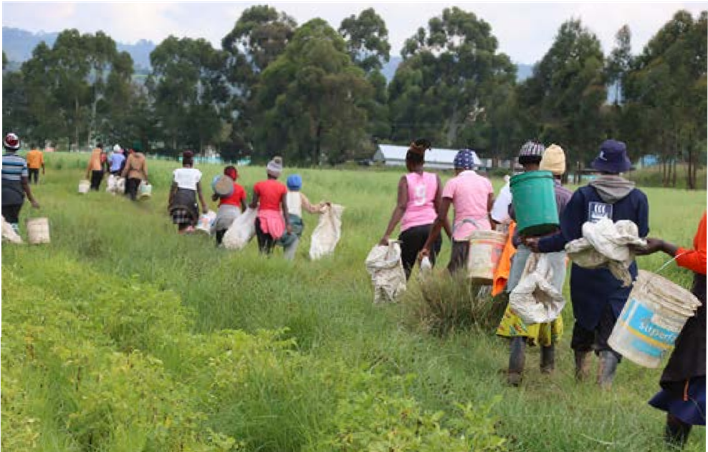 Digital technology demonstration to agricultural producers