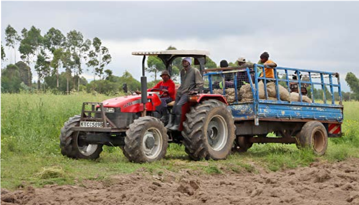 Agricultural producers working in the field