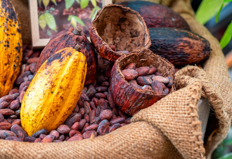 Agence Ecofin: EU-Africa: What Agricultural Trade Reveals in the First Half of 2026 .