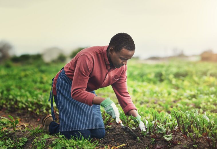 23 – 25 octobre 2026, Africa International Agricultural Expo 2026