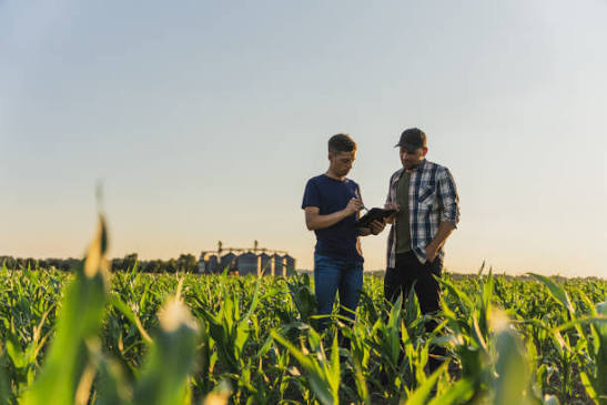 FAO : Outils et méthodes pour soutenir la conception et la mise en œuvre de politiques favorisant la transformation des systèmes agroalimentaires