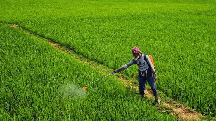 The Guardian: Almost half the world’s farmers are poisoned by pesticides every year – how did we get here?