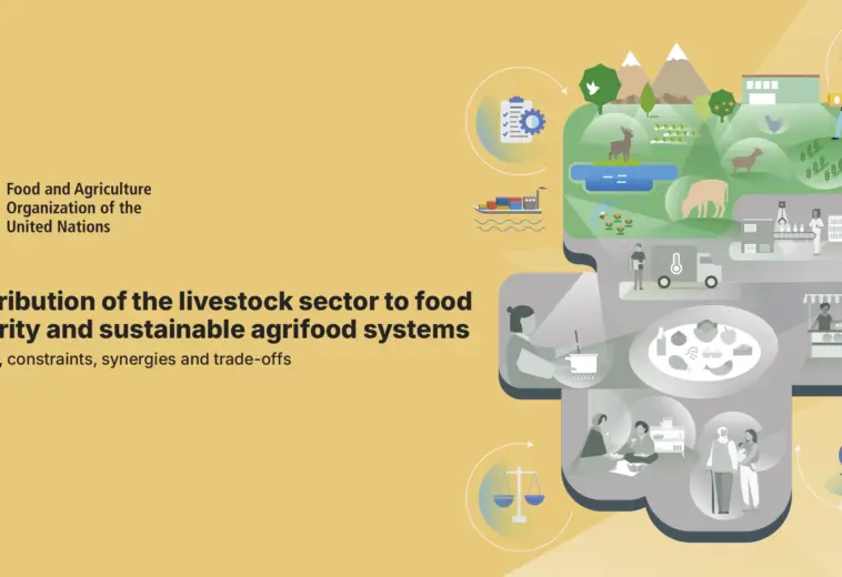 FAO : Contribution du secteur de l’élevage à la sécurité alimentaire et à des systèmes agroalimentaires durables