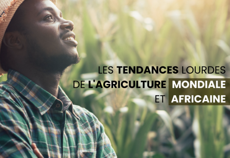 Les tendances lourdes de l’agriculture mondiale et africaine