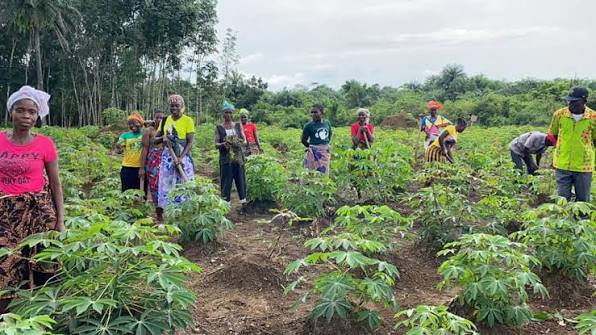 PAN AFRICAN VISIONS : L’agroécologie peut améliorer les rendements, réduire les coûts et renforcer la résilience climatique en Afrique