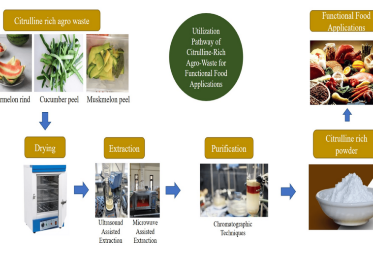 CUREUS : La citrulline d’origine végétale : des sources agricoles aux applications dans les aliments fonctionnels